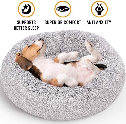 pet safe radius collar