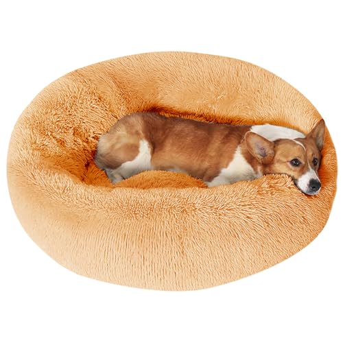 Image of JOLLYVOGUE Dog Bed, Calming Anti-Anxiety Large Dog Bed, Fluffy Donut Cushion for Medium and Large Pets (27 inch /30 inch /36 inch)