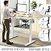SHW 55 x 28 Inches Electric Height Adjustable Standing Desk with Drawer and Memory Preset, Maple