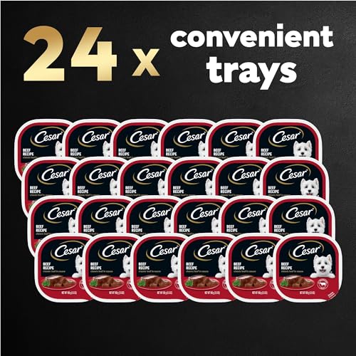 image for CESAR Wet Dog Food Loaf in Sauce Beef Recipe, (24) 3.5 oz. Easy Peel T