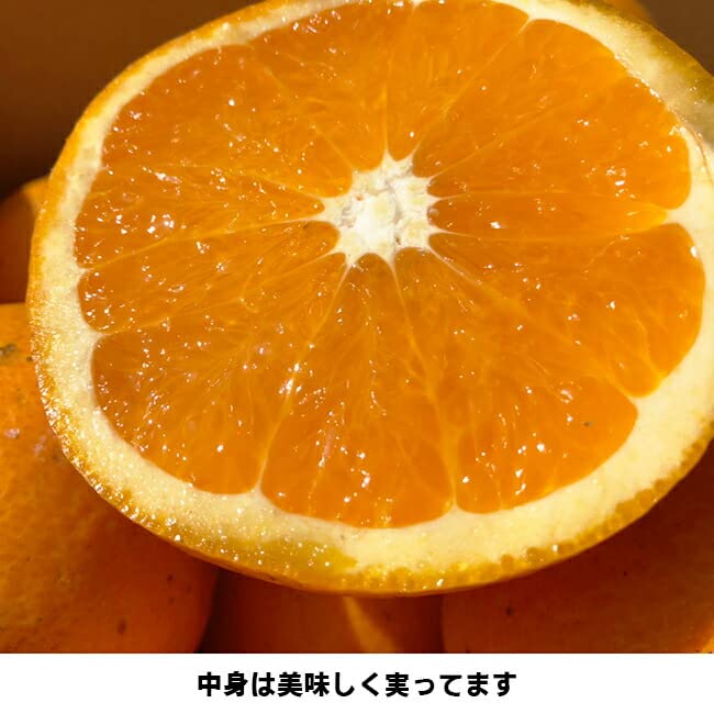 shastina　B品中玉10キロわけありミックス10キロ 清見オレンジ 訳あり10kg 中玉～大玉 L-4L みため×おいしさ◎ 愛媛県産