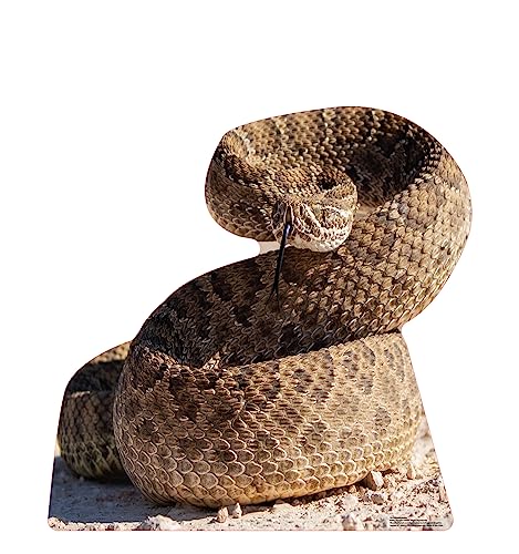 Image of Cardboard People Rattlesnake Life Size Cardboard Cutout Standup - Made in USA