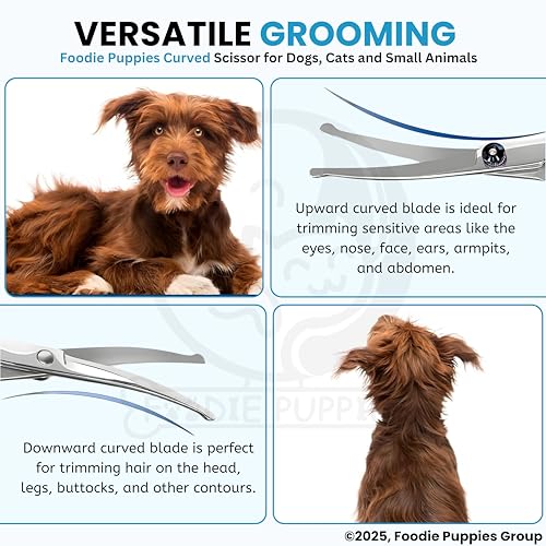 Image of Foodie Puppies Curved Grooming Scissors for Dogs & Cats I Stainless Steel Pet Hair Trimmer with Safe Round Tips for Face, Ear & Paw Grooming Tool for Home & Professional Use