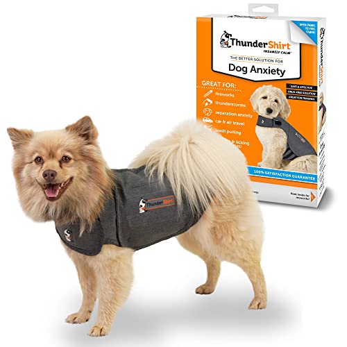 Top 3 Best Anxiety Coat For Dogs For 2021 FAB PETS