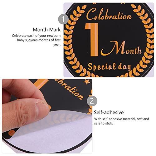 CANIGHT 1 conjunto foto chuveiro ano redondo adereços do mês de nascimento para estilo adesivo lembr