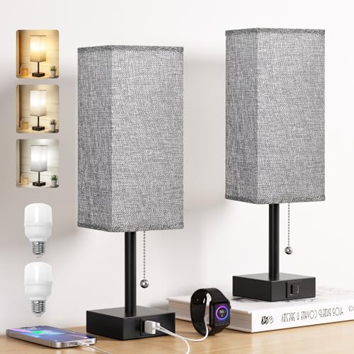kakanuo Lampada da Comodino Set di 2, 3 Modalità di Colore con Porte di Ricarica USB-C+A, Lampadina...