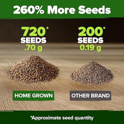 Image of HOME GROWN Culantro Seeds - 720+ Heirloom Herb Seeds for Planting, Slow-Bolting, Flavorful Cilantro Alternative, Great for Outdoor Herb Gardens (Eryngium foetidum)