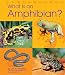 What Is an Amphibian? (The Animal Kingdom)