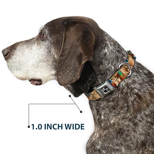 Collier de chien Buckle Down pour grands chiens en balade
