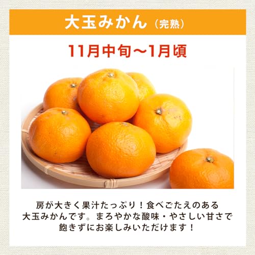[ 池田鹿蔵農園 ] 訳あり 大玉 有田みかん 1kg 【 甘さと適度な酸味が特徴！甘みがギュッと凝縮したコクのある みかん 】 柑橘 果物 フルーツ 和歌山みかん くだもの わけあり 甘いみかん 甘い 蜜柑 （ ワックス不使用 ）