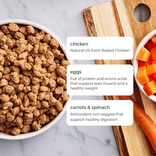 Fresh Pet Select Roasted Refrigerated Meals for Cats Chicken With Carrots and Spinach Recipe, 1 lb - Image 6