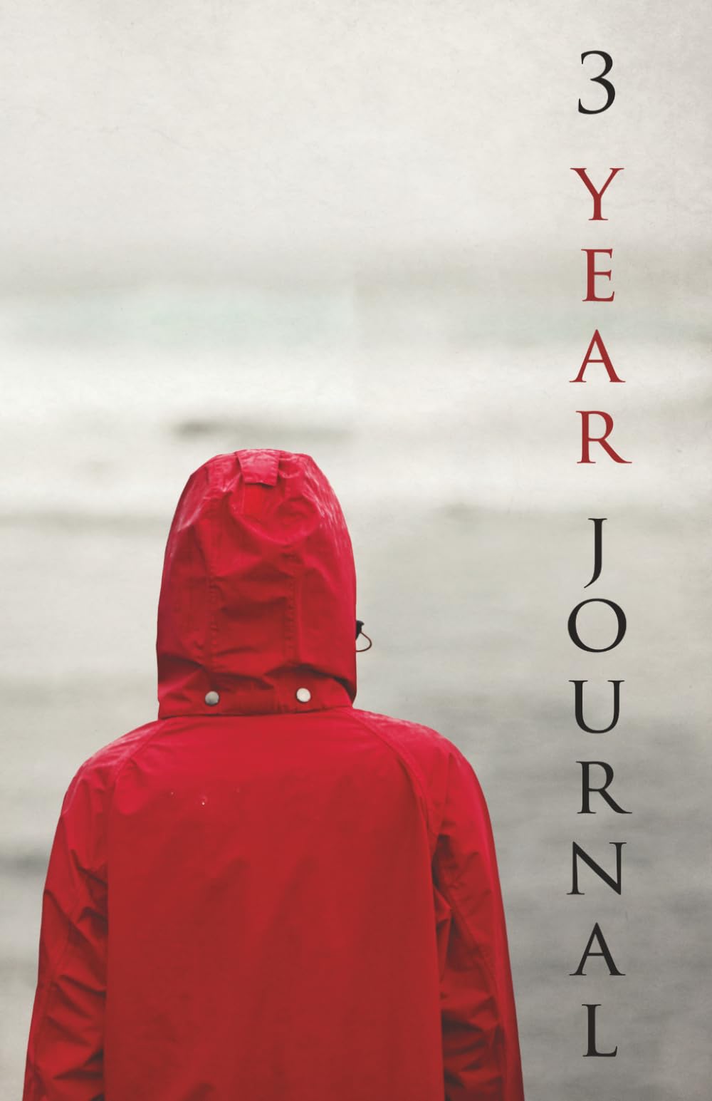 3-Year Journal (Daily Journal): A 3-Year Memory Book - Just a couple of sentences a day