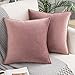 Woaboy 2 Piezas Funda de Cojines con Bordes Envueltos Decorativos Funda de Almohada de Terciopelo Suave Decoración Moderna Cremallera Invisible para Sofá Silla Cama Oficina 40x40cm Mermelada