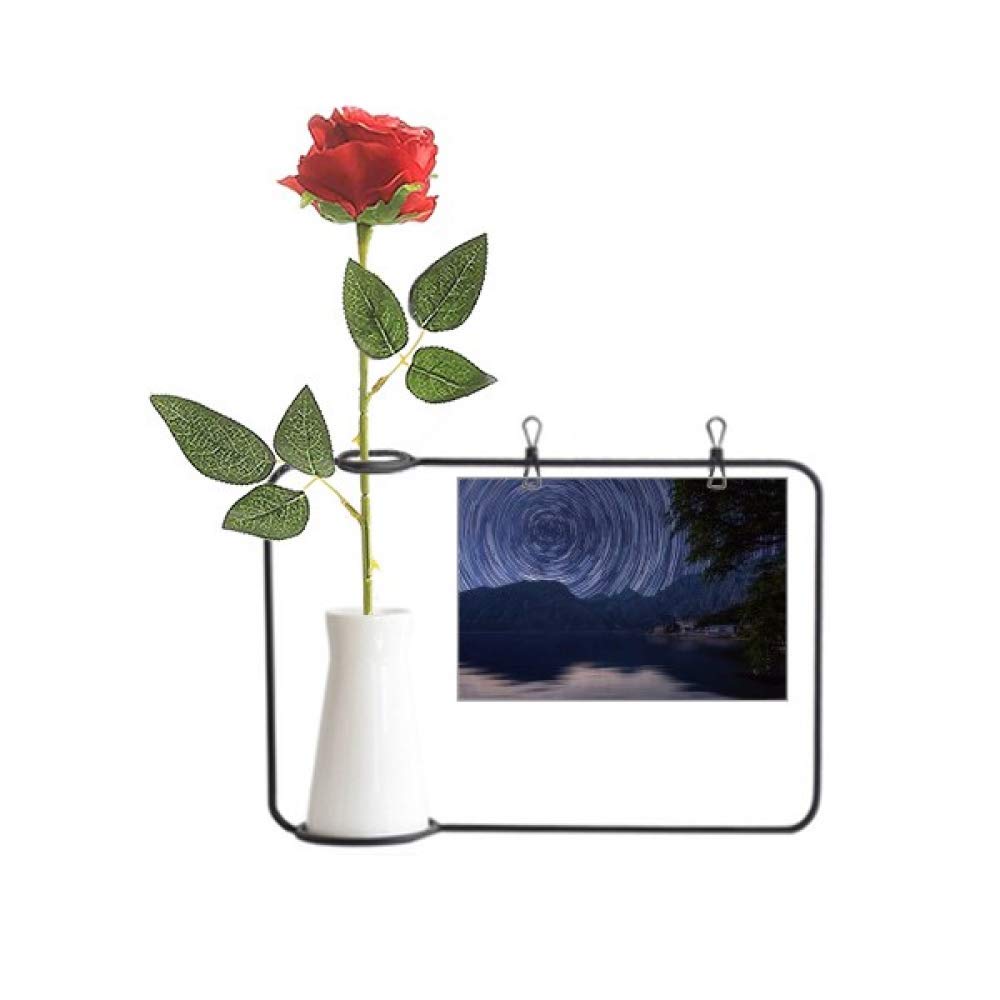 Rose artificielle Light-Year Stars avec vase bouteille suspendu déco nuit étoilée