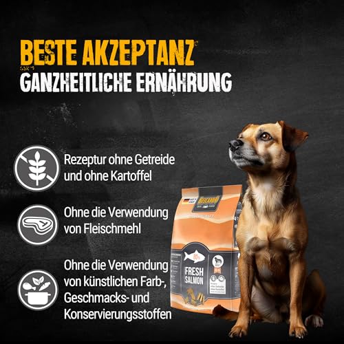 BELCANDO MASTERCRAFT Hundefutter trocken Fresh Salmon, 500g, Trockenfutter für Hunde mit Lachs, 80% Frischfleisch, getreidefrei… – Ansicht 5
