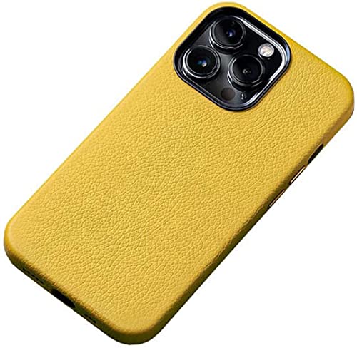 Protection iPhone 12 Pro en cuir litchi de luxe