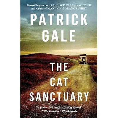 The Cat Sanctuary: An intriguing novel of sisters, childhood and the complexities of family lives