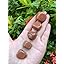 Red Goldstone