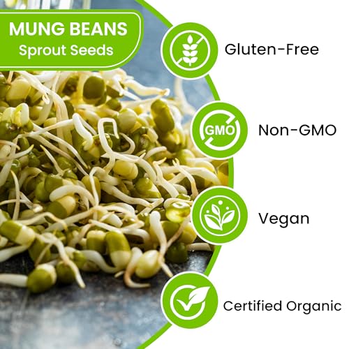 Zestigreens Premium Mung Bean Sprouting Seeds – Non Gmo- Seeds Come In Resealable Bag For Keeping Fresher For Longer thumb #3