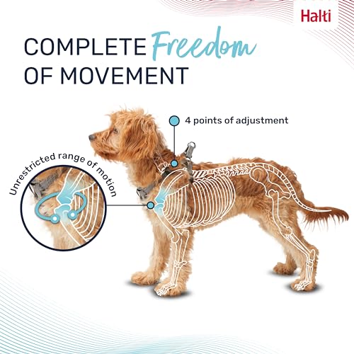 Image of Halti Anatomy Puppy & Small Dog Harness | Size XXS, Grey | Soft & Comfortable Step-in Harness, 4 Adjustable Points, Lightweight & Reflective, For Miniature and Toy Dog Breeds