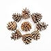 Produktbild TRIXES 9 Stück hängende Tannenzapfen Dekoration - Christbaumschmuck - natürliche Zapfen für Kranz, Girlande - Ornament für Herbstdekoration, Bastelparty, Weihnachten - Innen- und Außengebrauch