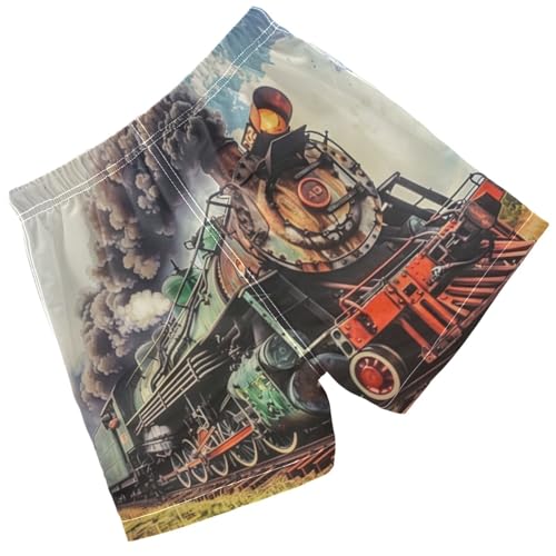 Pigsaly Boys Swim Trunks Vintage Locomotive Train Truck Boys Board Shorts Swimsuit Swimwear Summer Bathing Suit 2T Multicolor2