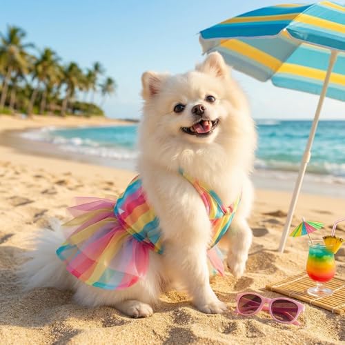 Image of CuteBone One Piece Dog Bikini Swimsuit Dress - Puppy Bathing Suit Costume for Small Dogs - Comfortable & Stylish Pet Clothes for Summer Pool, Beach & Play LTDB09XS