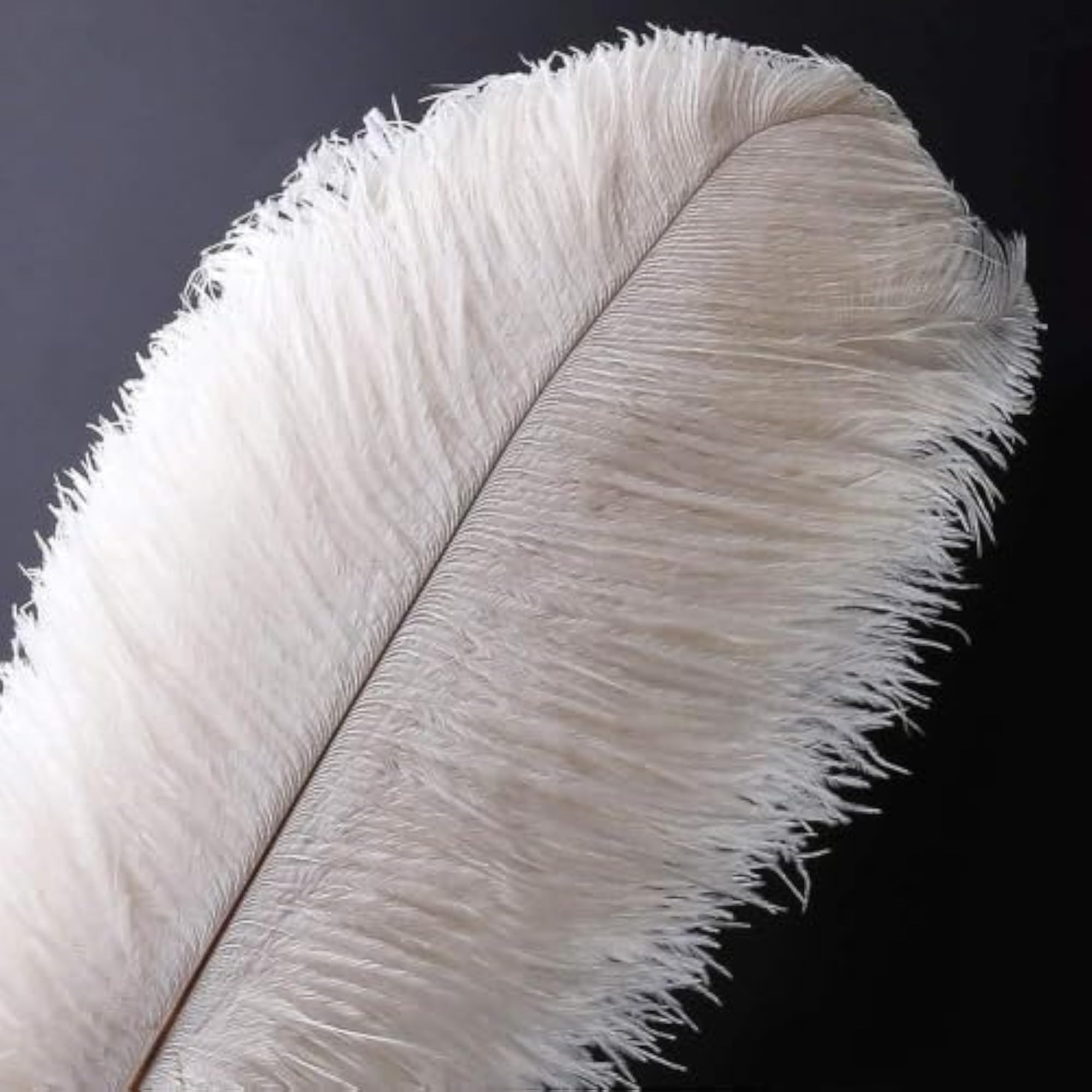 5 PCS Natural Ostrich Feathers for Craft & Decor