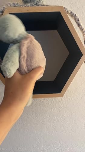 Amazon.co.jp: Jellycat 恥ずかしがり屋のカメ ぬいぐるみ S 7