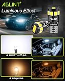 AGLINT T10 Żarówki LED CANBUS Samochodowe Światła Wewnętrzne 12SMD W5W 501 194 168 2825 Klin Dla Pozycji światła Kopuły Mapy Bagażnika Drzwi Grzecznościowe Numer Tablicy Rejestracyjnej światła Biały