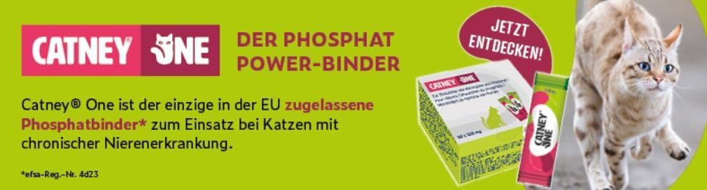 Dechra Catney One | Doppelpack | 2 x 30 x 520 mg | Ergänzungsfuttermittel für Katzen | Zur Unterstützung der Nierenfunktion bei chronischer Niereninsuffizienz | Mit Maltodextrin