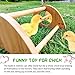 Ensayeer Mini Chick Perch with Mirror, Strong Bamboo Roosting Bar for coop and brooder, Training Perch for Baby Chicks, El Pollitos, La Pollita, Easy to Assemble and Clean, Fun Toys for Chick