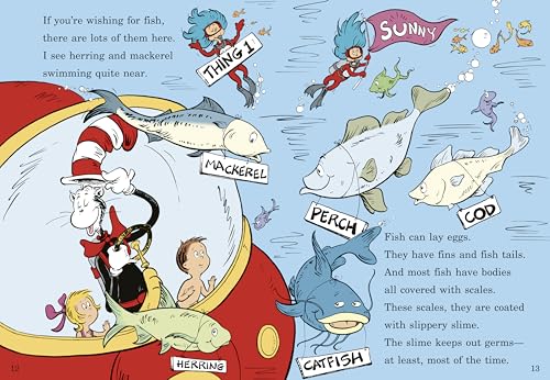 Wish for a Fish: All About Sea Creatures