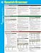 Spanish Grammar SparkCharts