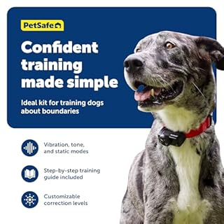 PetSafe Wireless Containment System, Secure 2,023 square metre Boundary for an Unlimited Number of Dogs