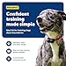 PetSafe Wireless Pet Containment System - Original Wireless Electric Fence for Dogs - Covers Up to 1/2 Acre - for Pets 8lb+
