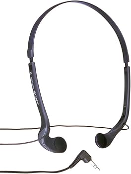 Amazon.com: Sony MDR-W08L Vertical In-The-Ear Headphones,Black
