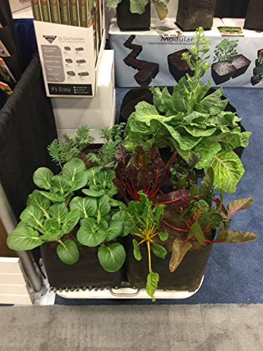 image for Victory 8 Garden 3 ft X 6 ft Victory 8 EZ-GRO Med Rectangle Raised Gar