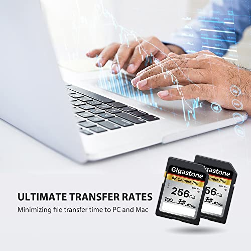 Gigastone 256Gb Sd Card V30 Sdxc Memory Card High Speed 4K Ultra Hd Uhd Video Compatible With Canon Nikon Sony Pentax Kodak Olympus Panasonic Digital Camera, With 1 Mini Case #TOP3