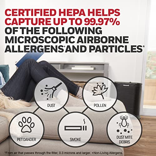 Honeywell HPA300 vs Insight HPA5300B Review & Full Comparison