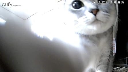 お客様イメージ