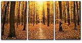 wall26 Canvas Print Wall Art Set Red & Orange Autumn Tree Forest at Dusk Nature Wilderness Photography Realism Rustic Scenic Colorful Multicolor for Living Room, Bedroom, Office - 24