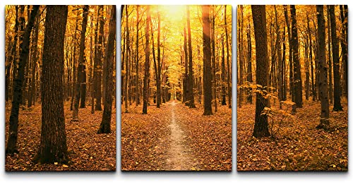 wall26 Canvas Print Wall Art Set Red & Orange Autumn Tree Forest at Dusk Nature Wilderness Photography Realism Rustic Scenic Colorful Multicolor for Living Room, Bedroom, Office - 24