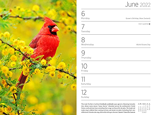 Audubon Engagement Calendar 2022 #TOP3