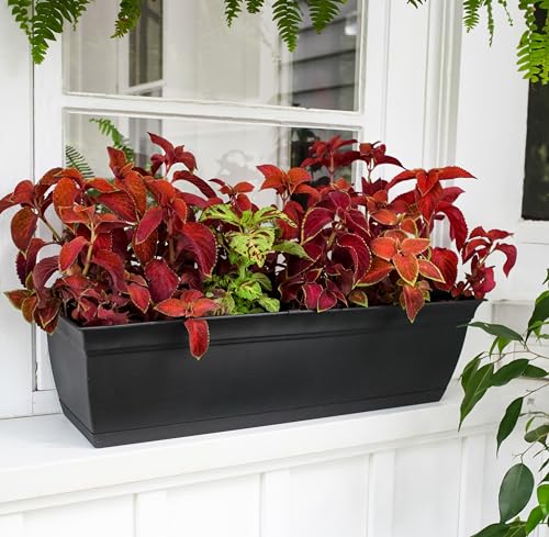 Pot de fleurs rectangulaire pour herbes et fleurs sur votre balcon