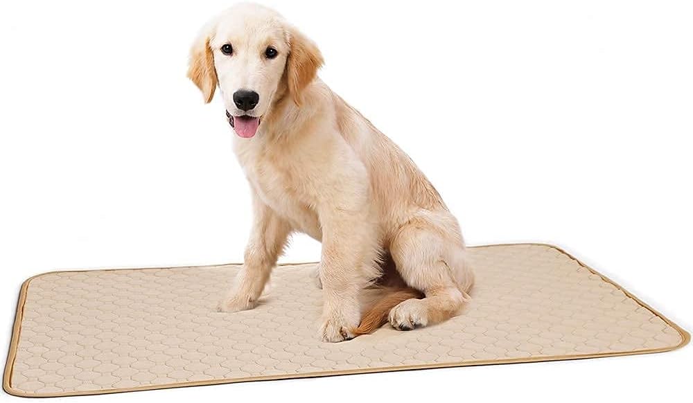 Washable Pee Pads for Dogs,Waterproof Reusable Non Slip Pet Training Pads or Dog Mat,Dog Pee Pads with Good Absorption,for Dogs,Cats,Hamster,Rabbits(1pcs) Beige M