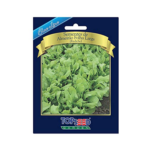 Sementes De Almeirão Folha Larga 10g Topseed