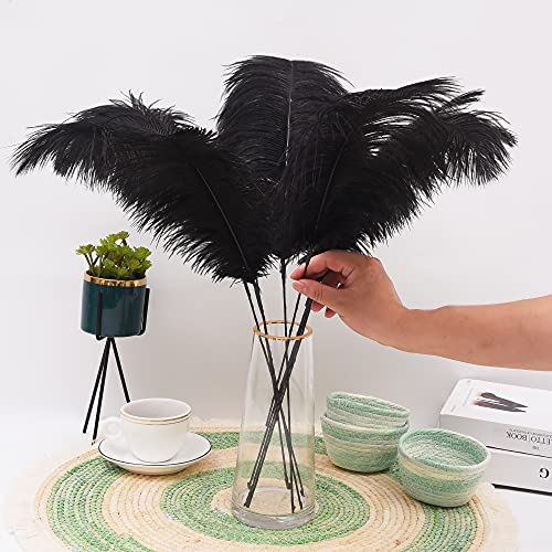 Ballinger Black Large Ostrich Feathers - 12pcs 24-26inch Feathers Making Kit Ostrich Feathers Bulk for Vase,Wedding Centerpieces,Gatsby Party and Home Decor - Thumbnail 6