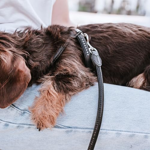 Hunter Hundegeschirr Round & Soft Canadian UP, Farbe: schwarz, weiches, geschmeidiges Leder, rundgenäht, fellschonend, nachhaltig, Made in Germany, Größe: S-M