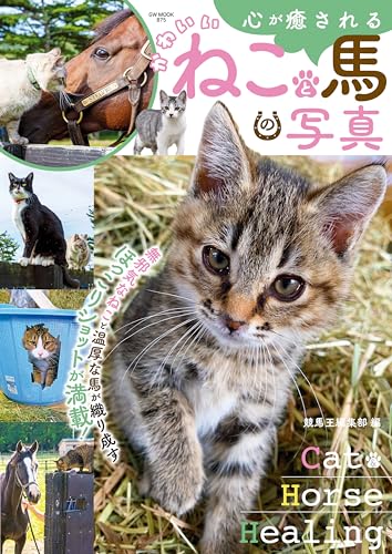 心が癒されるかわいいねこと馬の写真 (競馬王)